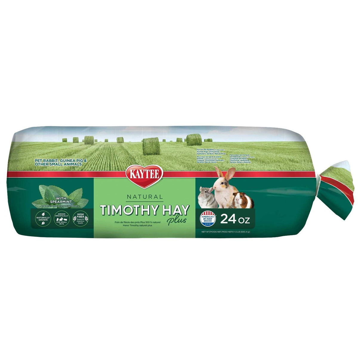 Timothy Hay I743