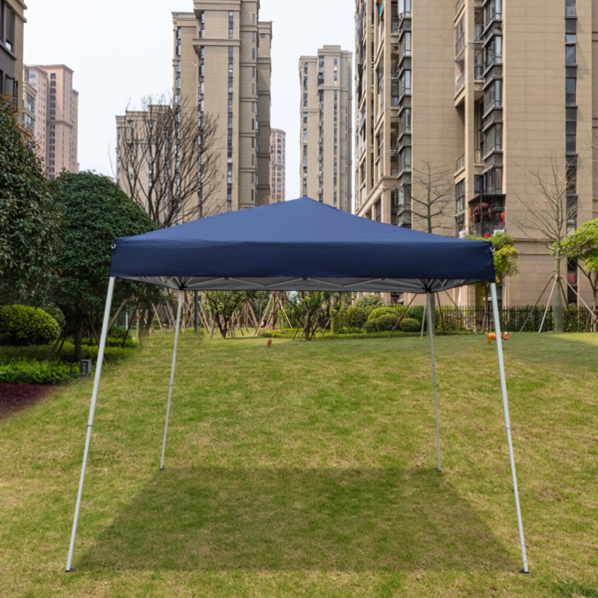 Folding Canopy Tent Pavilion with Bag W607090