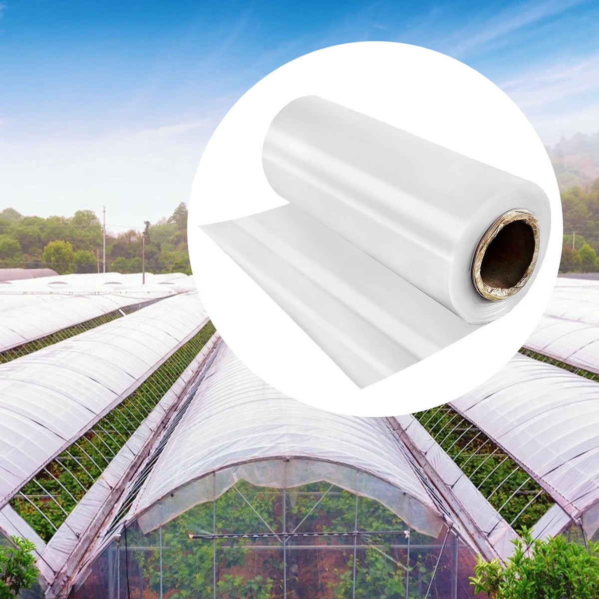 12x28 ft 6 Mil Polyethylene Greenhouse Film N679