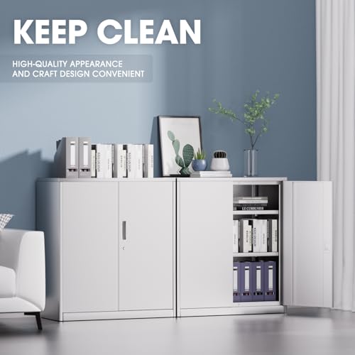 Metal Storage Cabinet with 2 Doors and 2 Adjustable Shelves U63943
