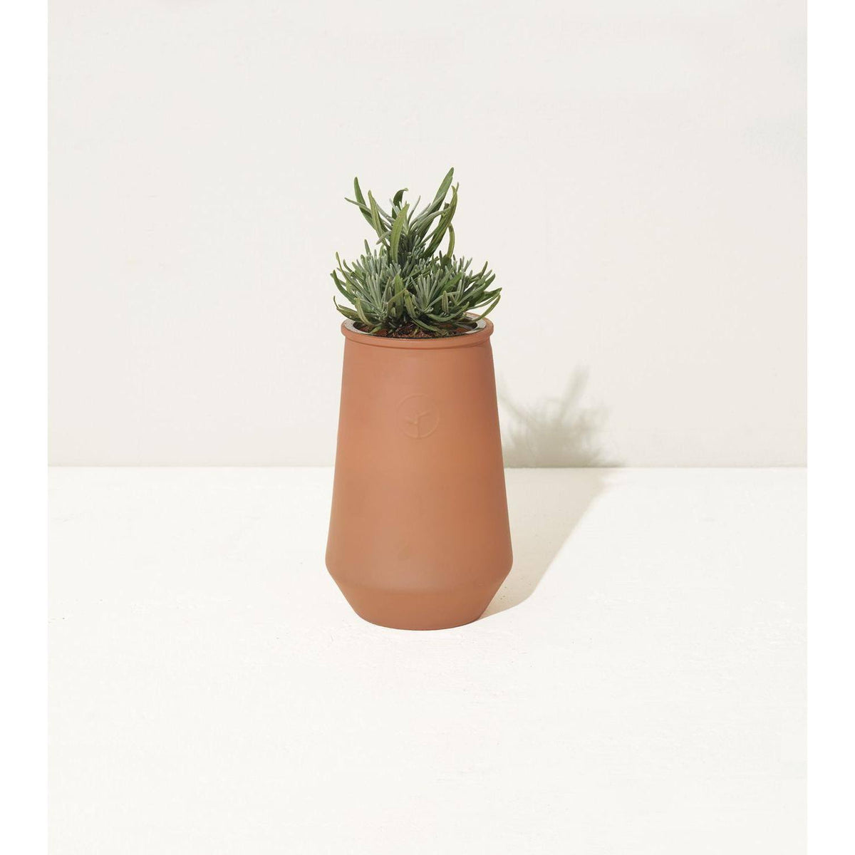 Tapered Tumbler Grow Kits, Indoor Garden Kit, Lavender & Eucalyptus (2 Jars) Z273200