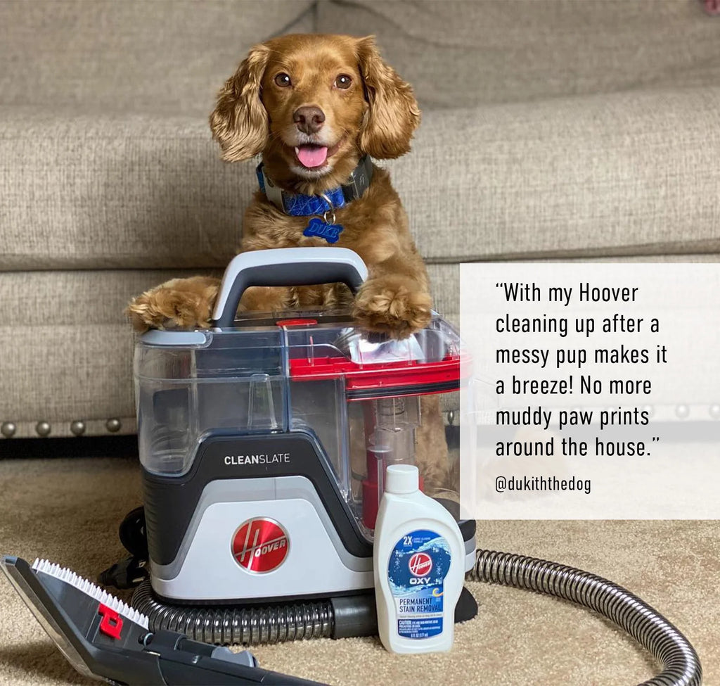 Portable Carpet and Upholstery Spot Cleaner L5004