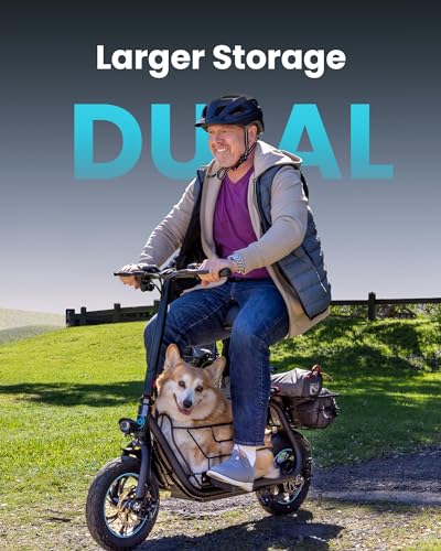 Electric Scooter with Seat J71047