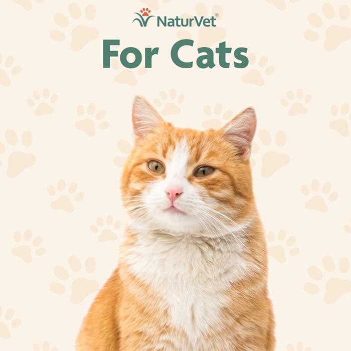 Skin & Coat Plus Omegas for Cats O3729