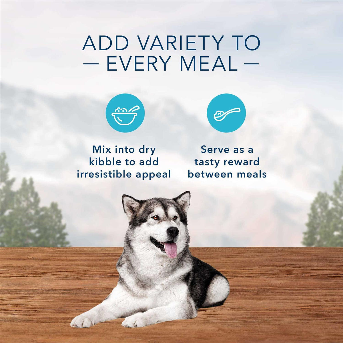 Chicken & Beef Bites Variety Pack Wet Dog Food R47391