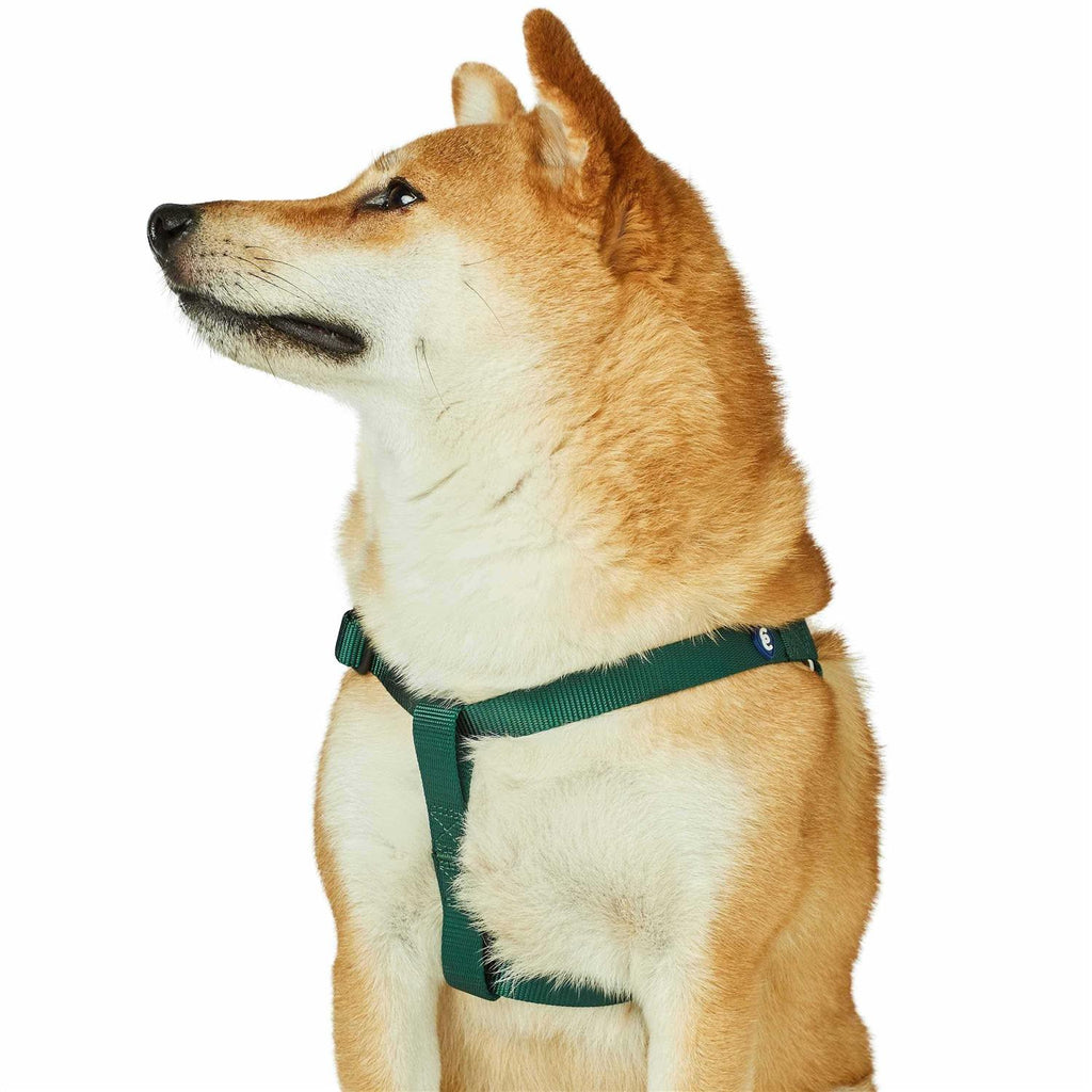 Classic Solid Nylon Step-In Dog Harness N786803