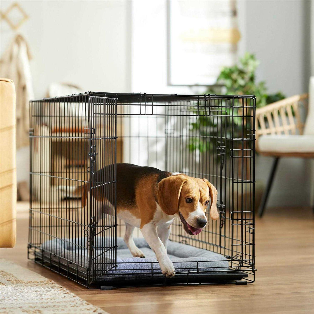 Heavy Duty Fold & Carry Double Door Collapsible Wire Dog Crate N8672