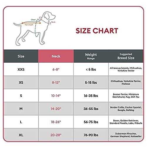 Padded Dog Collar T9406