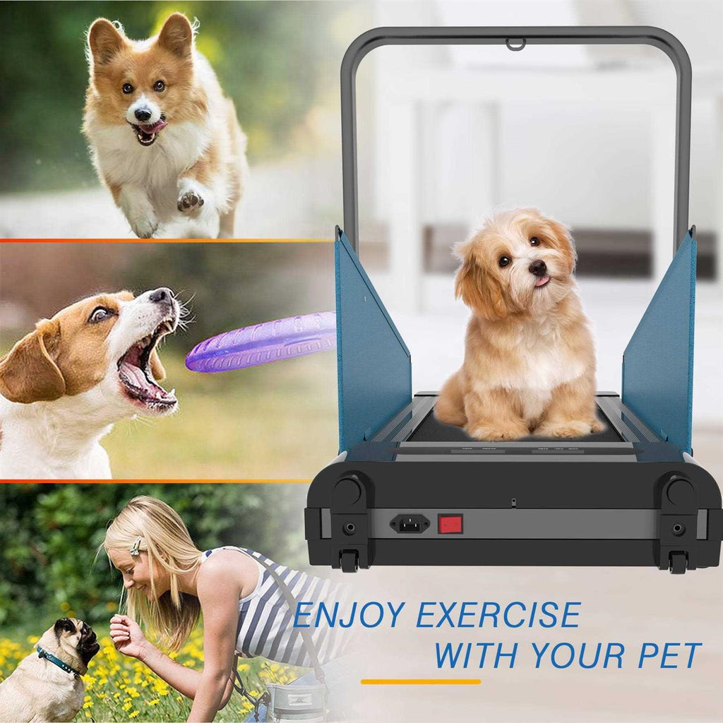 Small Dogs Medium Dogs Treadmill M96872