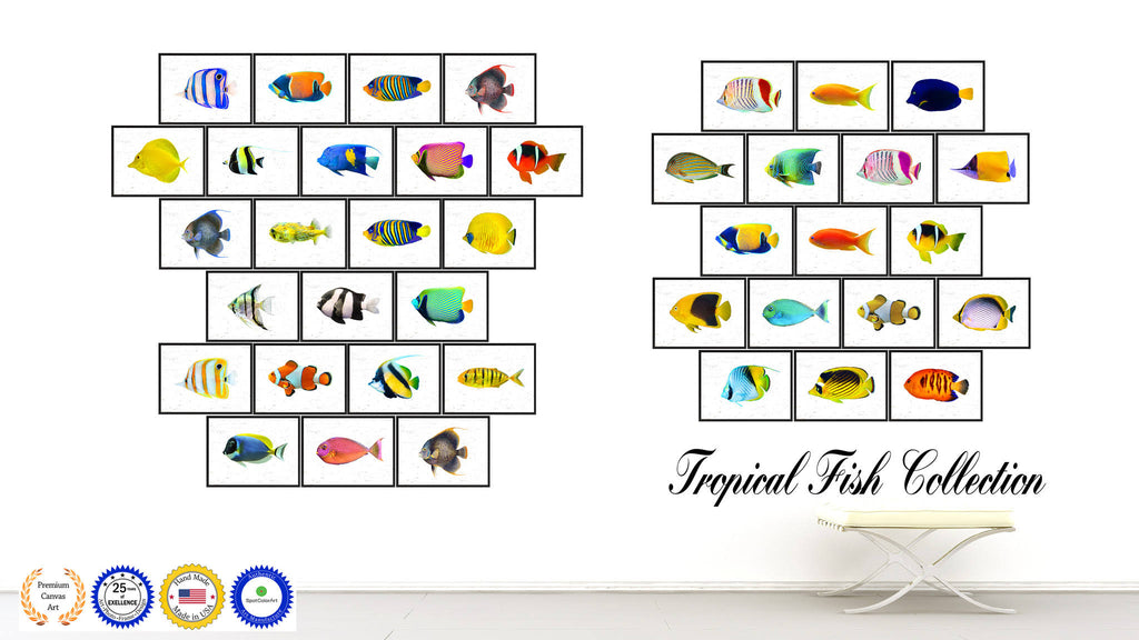 Yellow Clown Tropical Fish Painting Wall Decor C372
