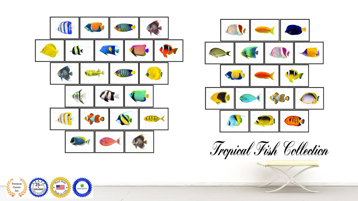 Yellow Clown Tropical Fish Painting Wall Decor C372