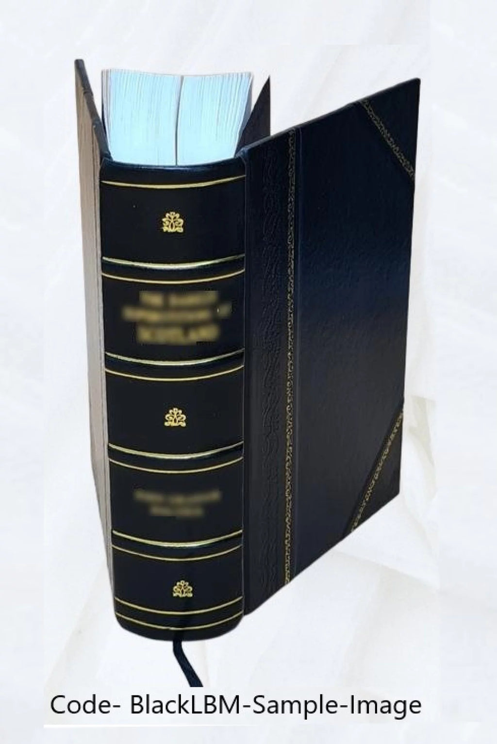 1908 Leather Bound C31457