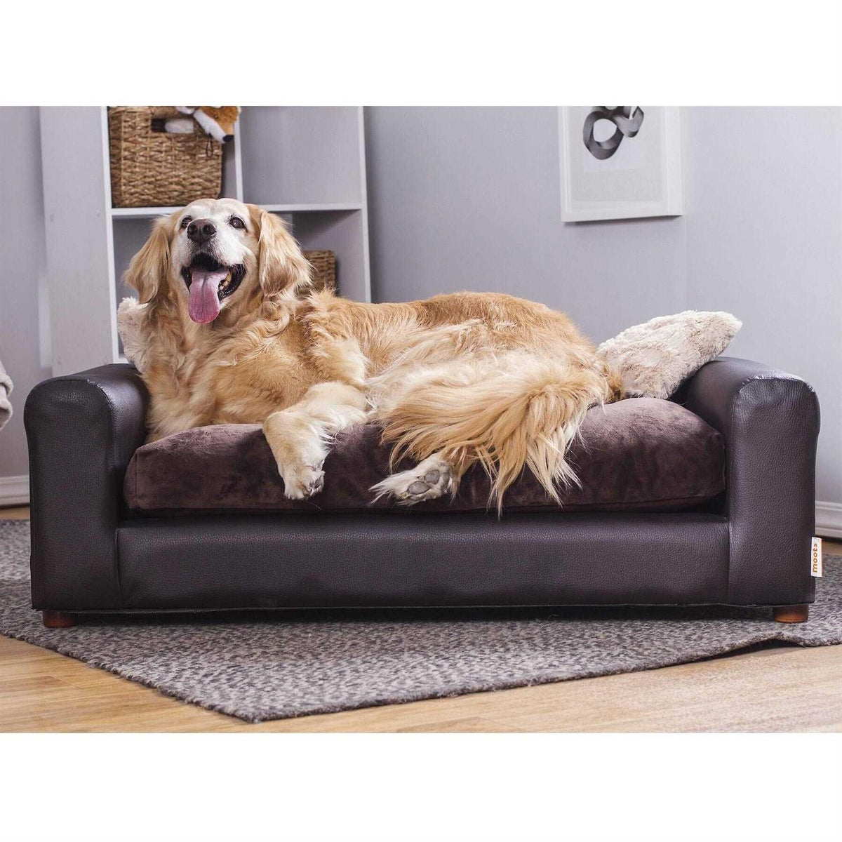 Leatherette Pets Sofa Y512662