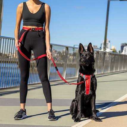 Road Runner Leash E592