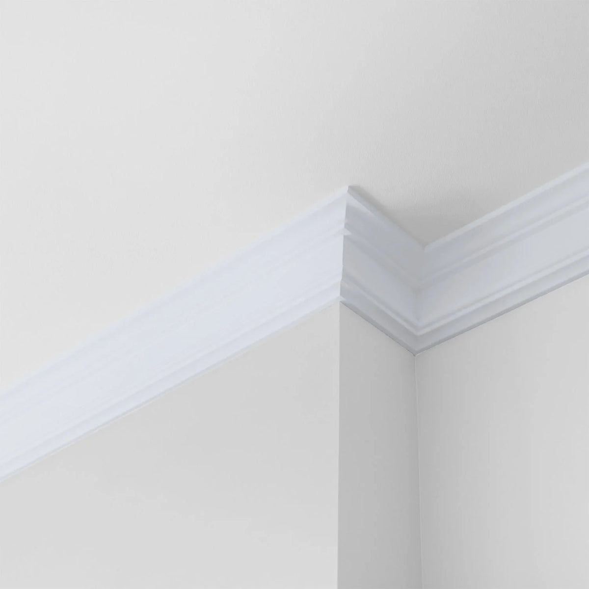 Interior Paint Eggshell 1 Gallon O256