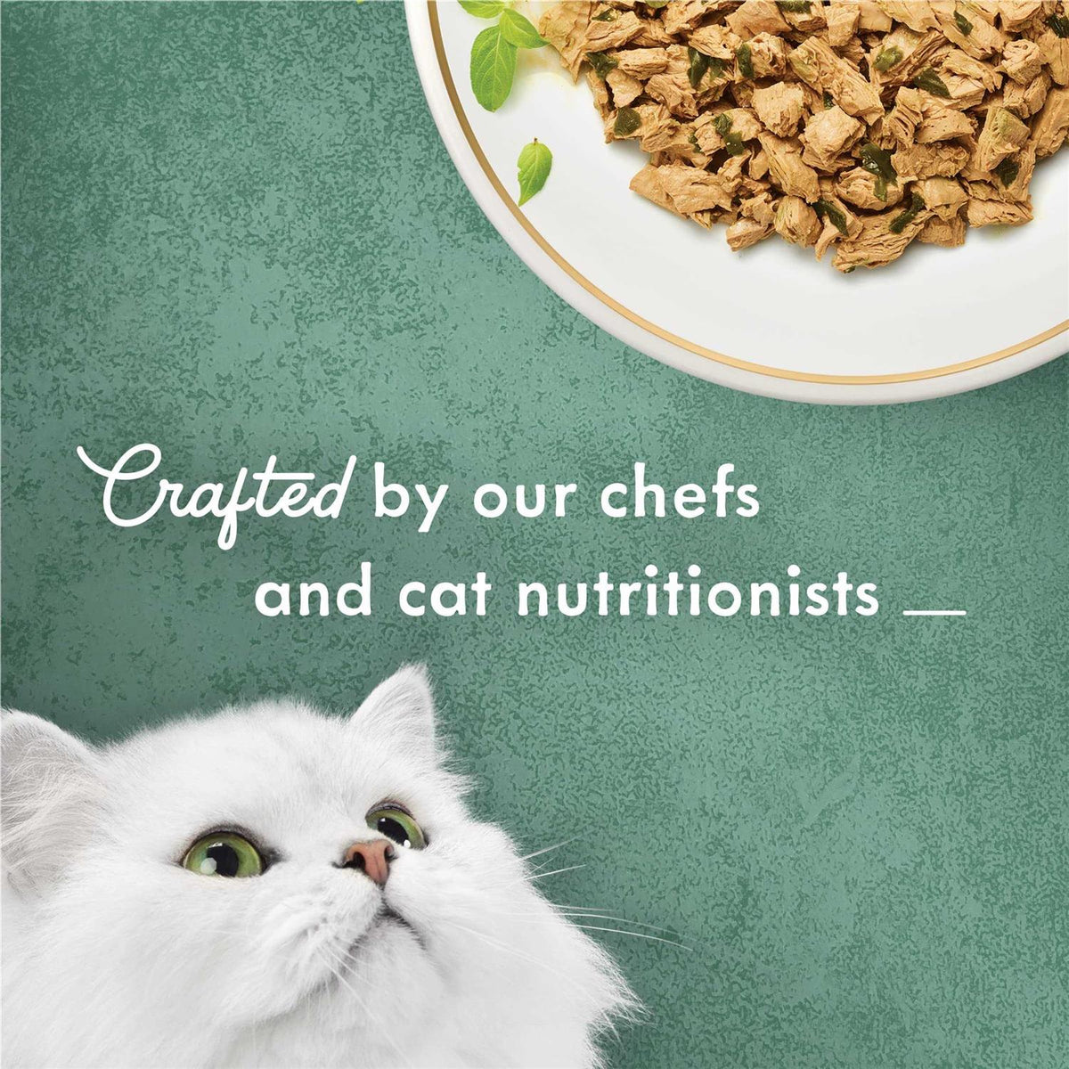 Shredded White Meat Chicken Wet Cat Food Y406060