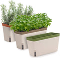 Self-Watering Rectangular Window Herb Planter Box Set of 3 V456307