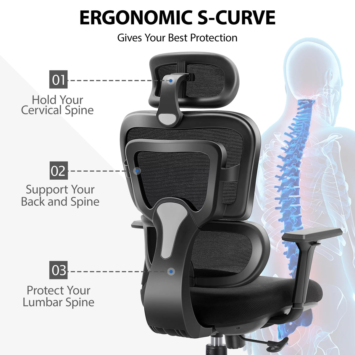 Black Ergonomic Office Chair with Lumbar Support S213112