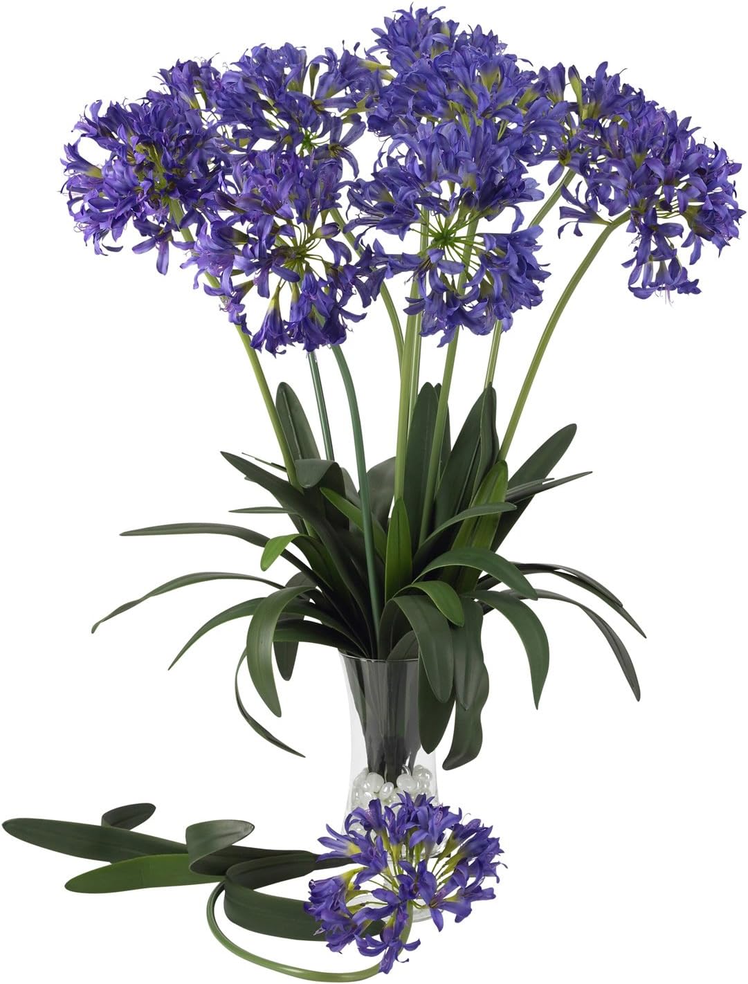 29 African Lily Stem Set of 12 Yellow Pack of 2 Y1245