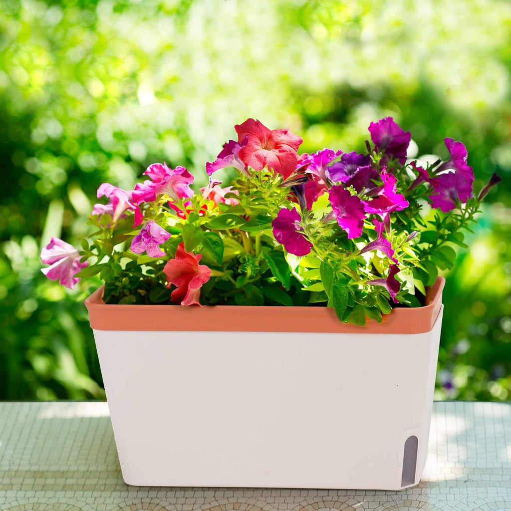 Self-Watering Rectangular Window Herb Planter Box Set of 3 V456307