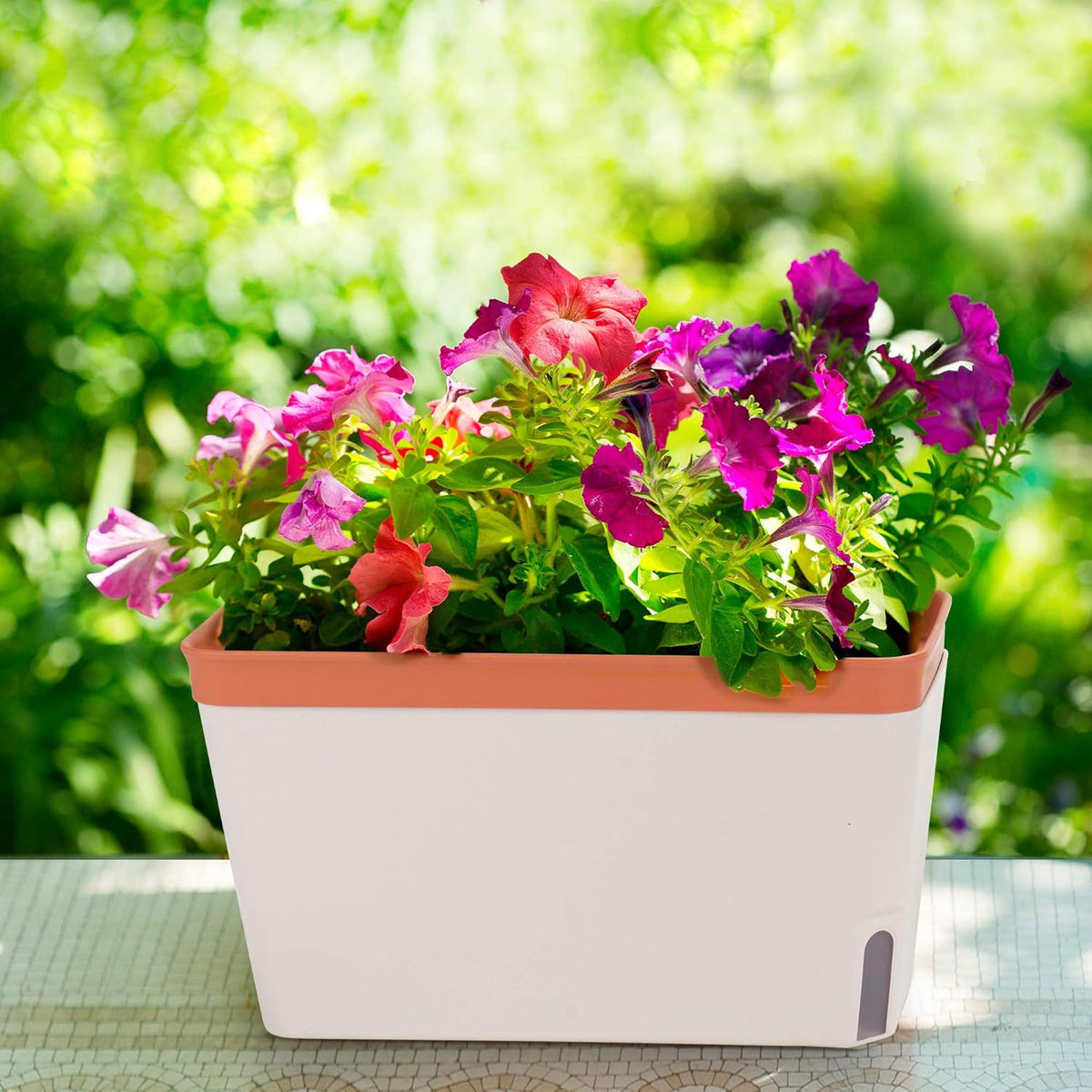Self-Watering Rectangular Window Herb Planter Box Set of 3 V456307