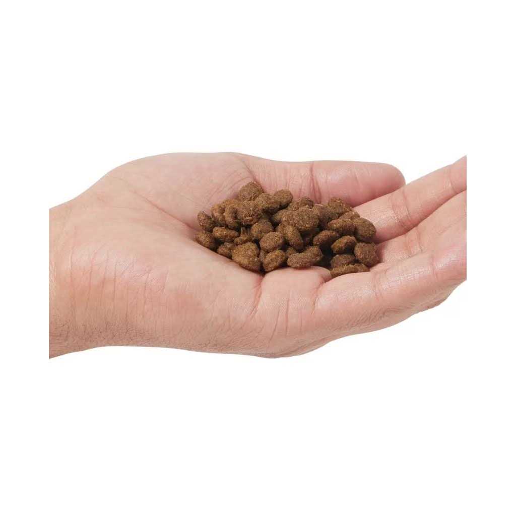 Grain Free Dry Cat Food J202