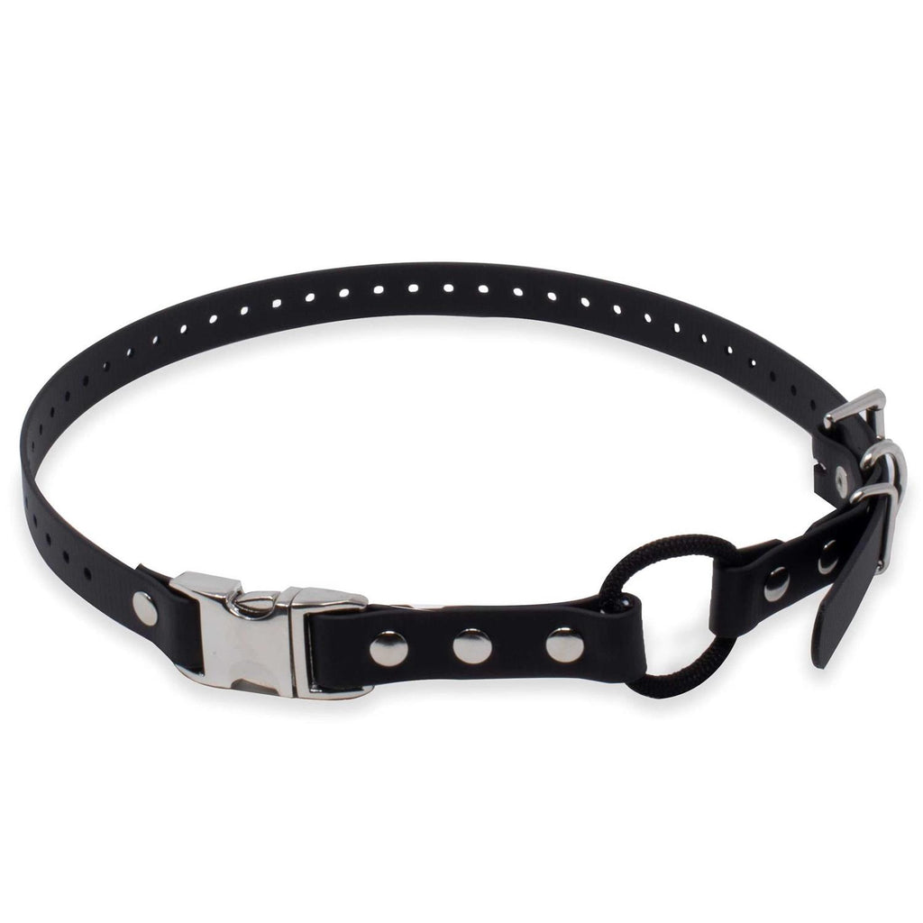 Bungee Collar I307
