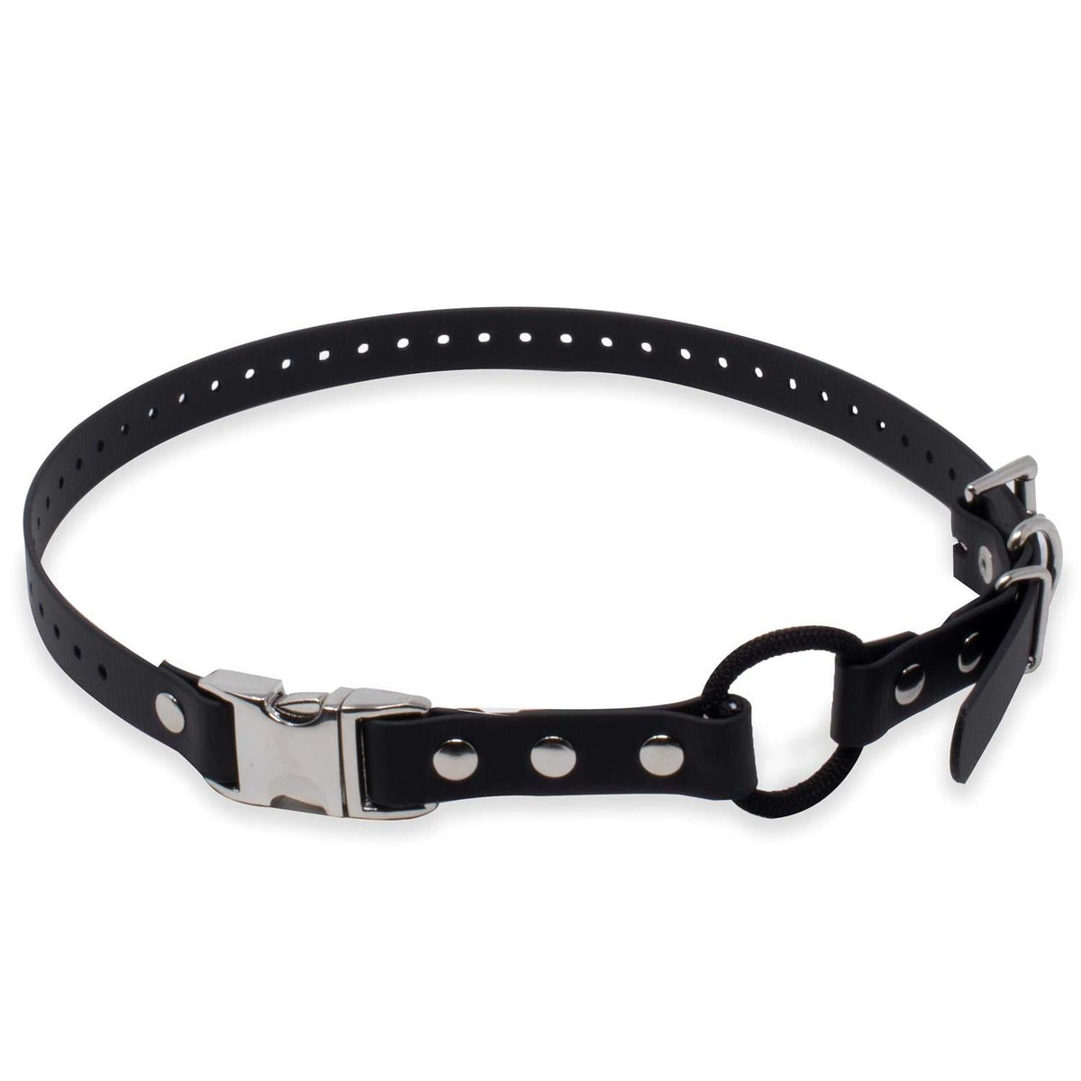 Bungee Collar I307