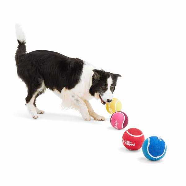 Tennis Ball Dog Toy I736