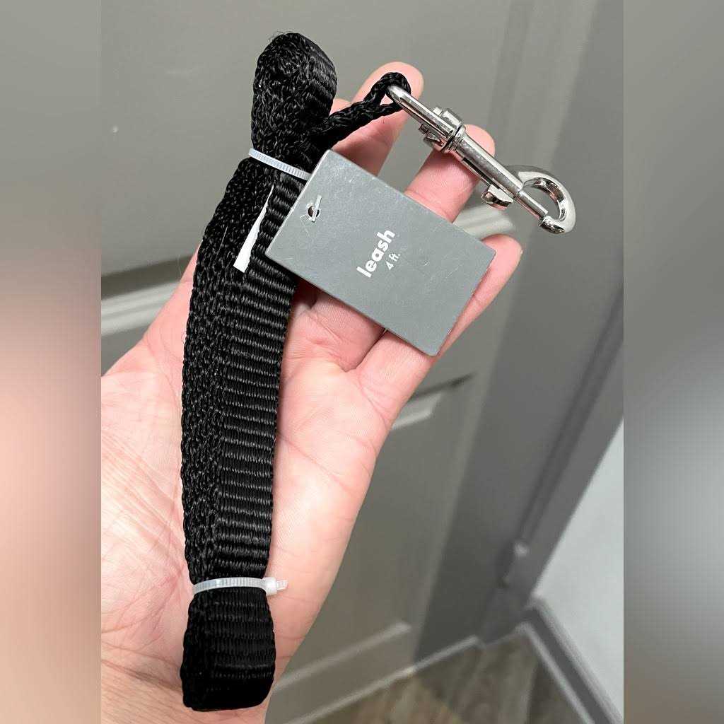 4′ Metal Dog Leash R31591