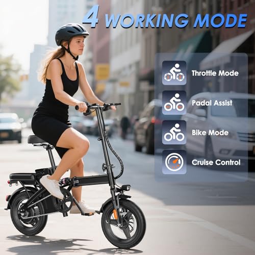 14" Folding Electric Bike 500W 48V 13Ah R468697