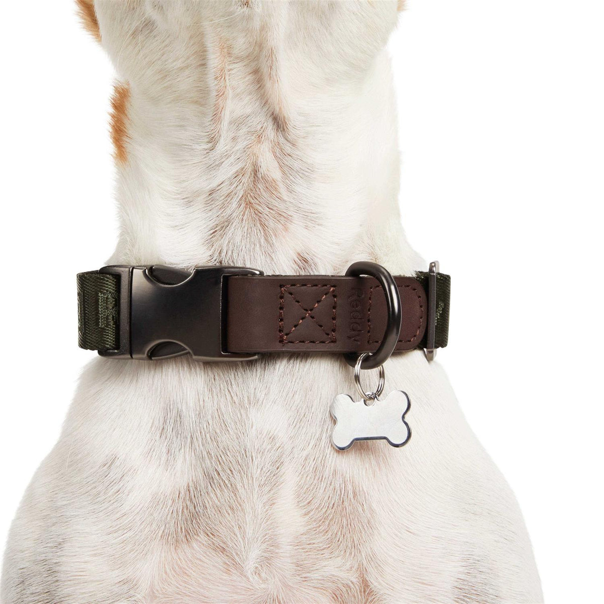 Dog Collar Q456