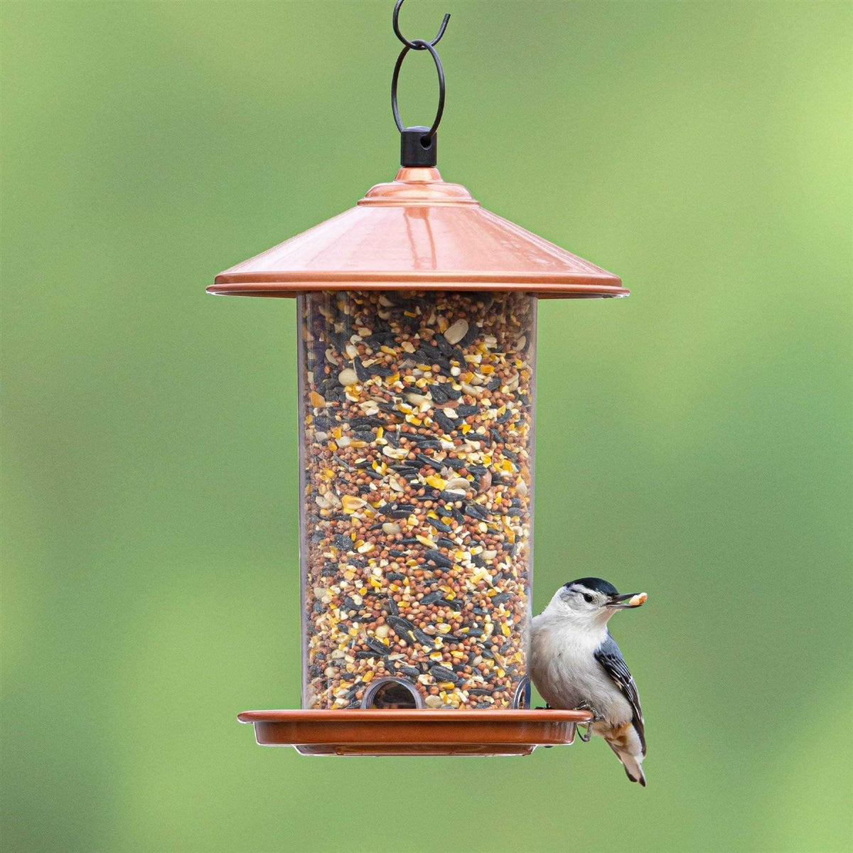 Peanut & Sunflower Wild Bird Feed S293