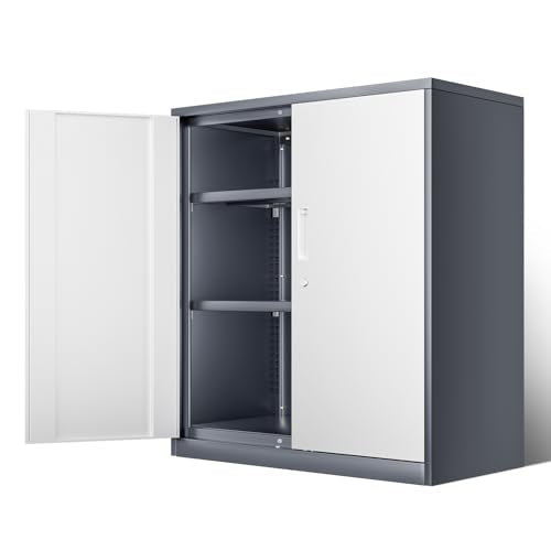 Metal Storage Cabinet with 2 Doors and 2 Adjustable Shelves U63943