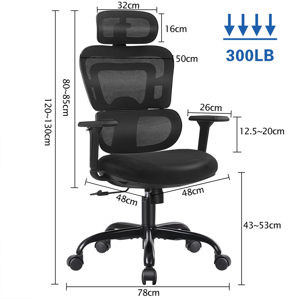Black Ergonomic Office Chair with Lumbar Support S213112