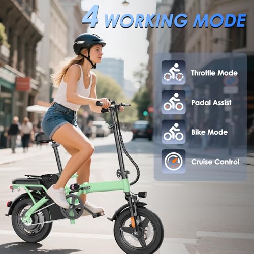 14" Folding Electric Bike 500W 48V 13Ah R468697