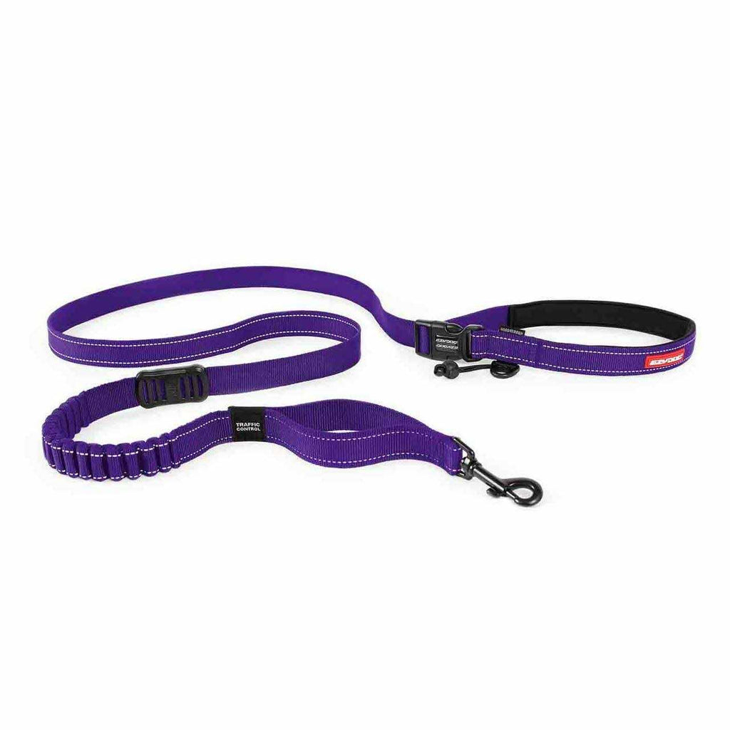 Road Runner Leash E592