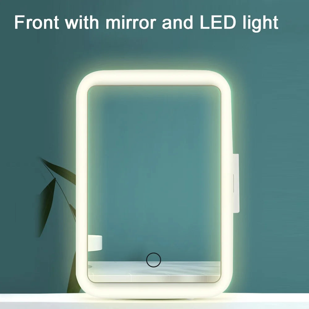 Portable Car Fridge Cooler Warmer 4L with LED Light Q26774