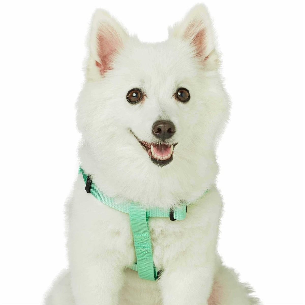 Classic Solid Nylon Step-In Dog Harness N786803