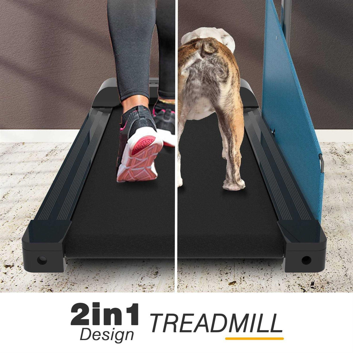 Small Dogs Medium Dogs Treadmill M96872