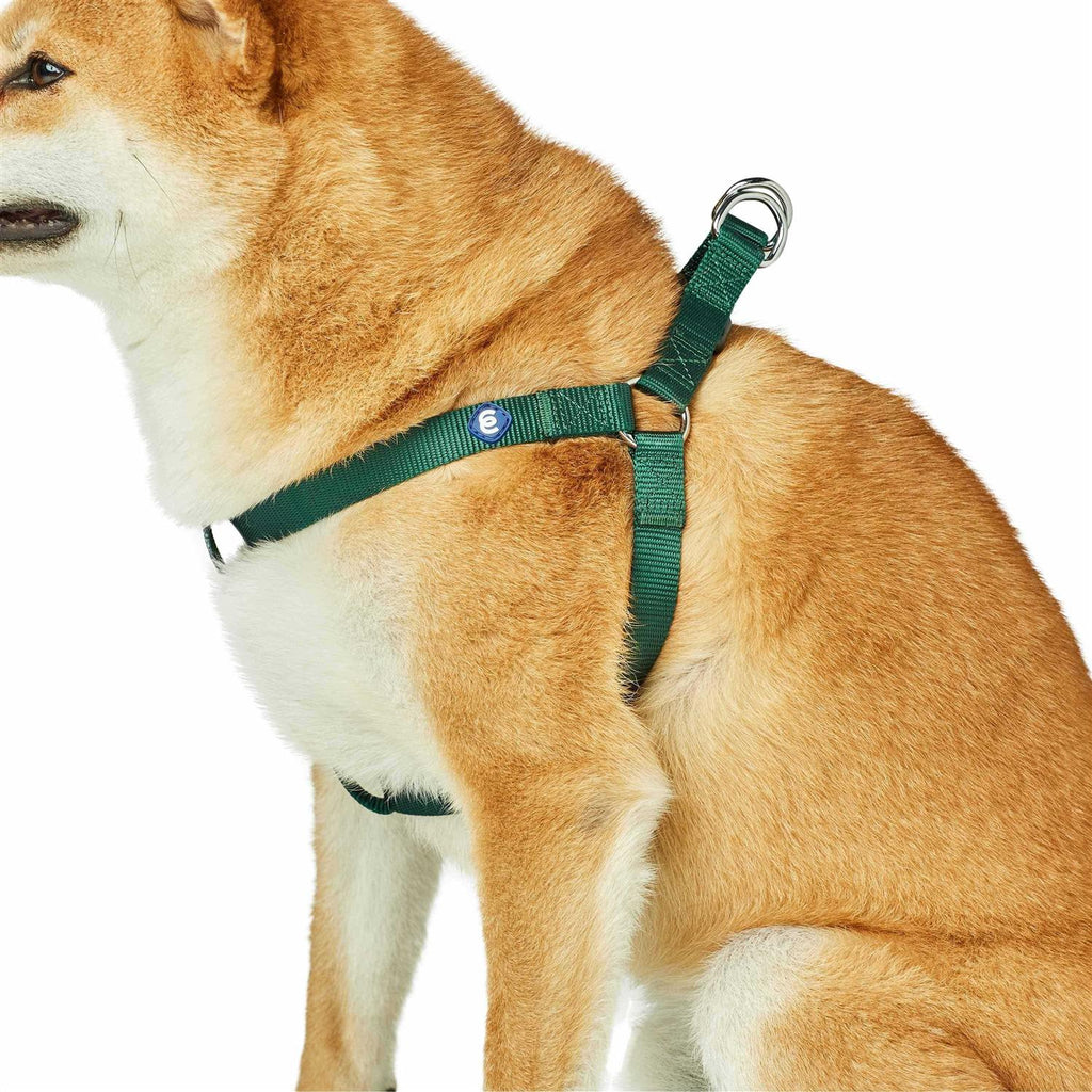 Classic Solid Nylon Step-In Dog Harness N786803