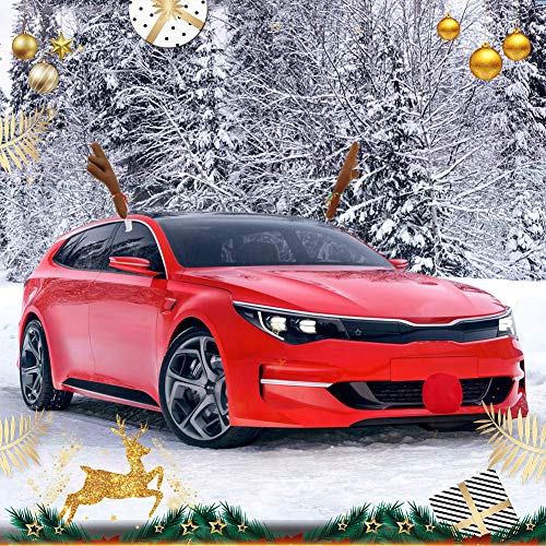 Car Reindeer Antlers & Nose Decorations Set N180