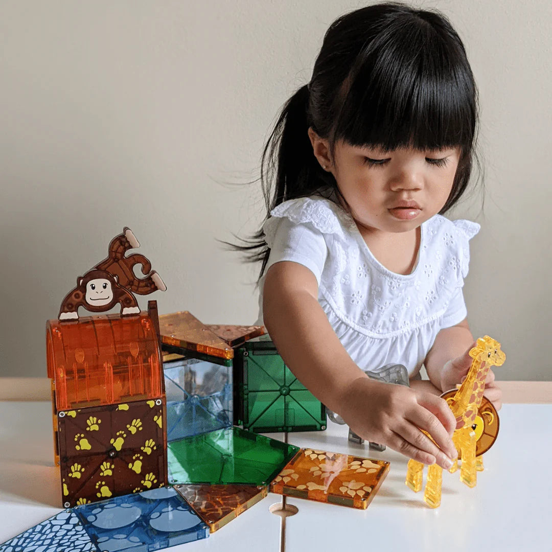 25-Piece Magnetic Construction Set R9171