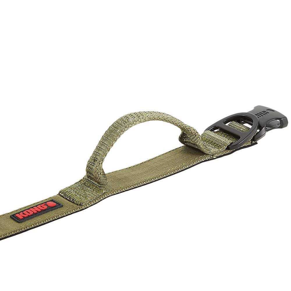Padded Dog Collar T9406