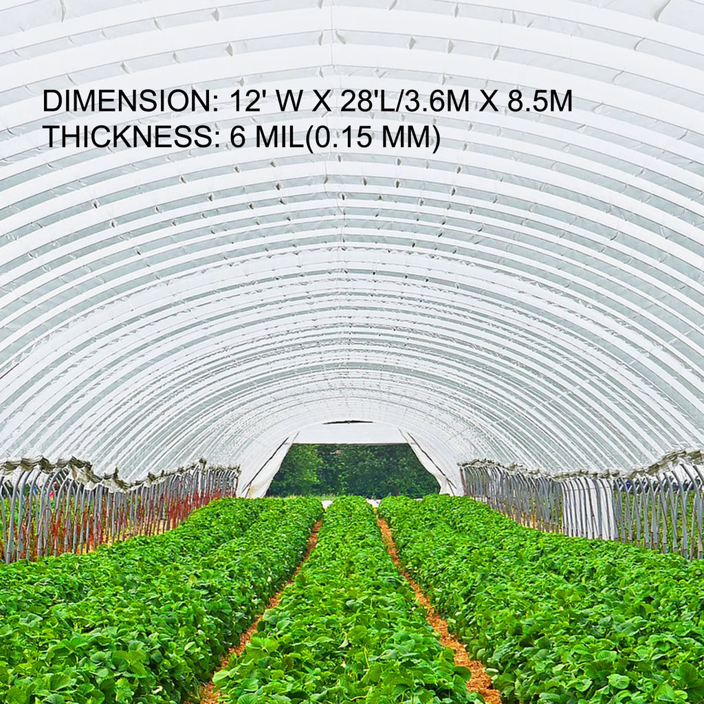 12x28 ft 6 Mil Polyethylene Greenhouse Film N679