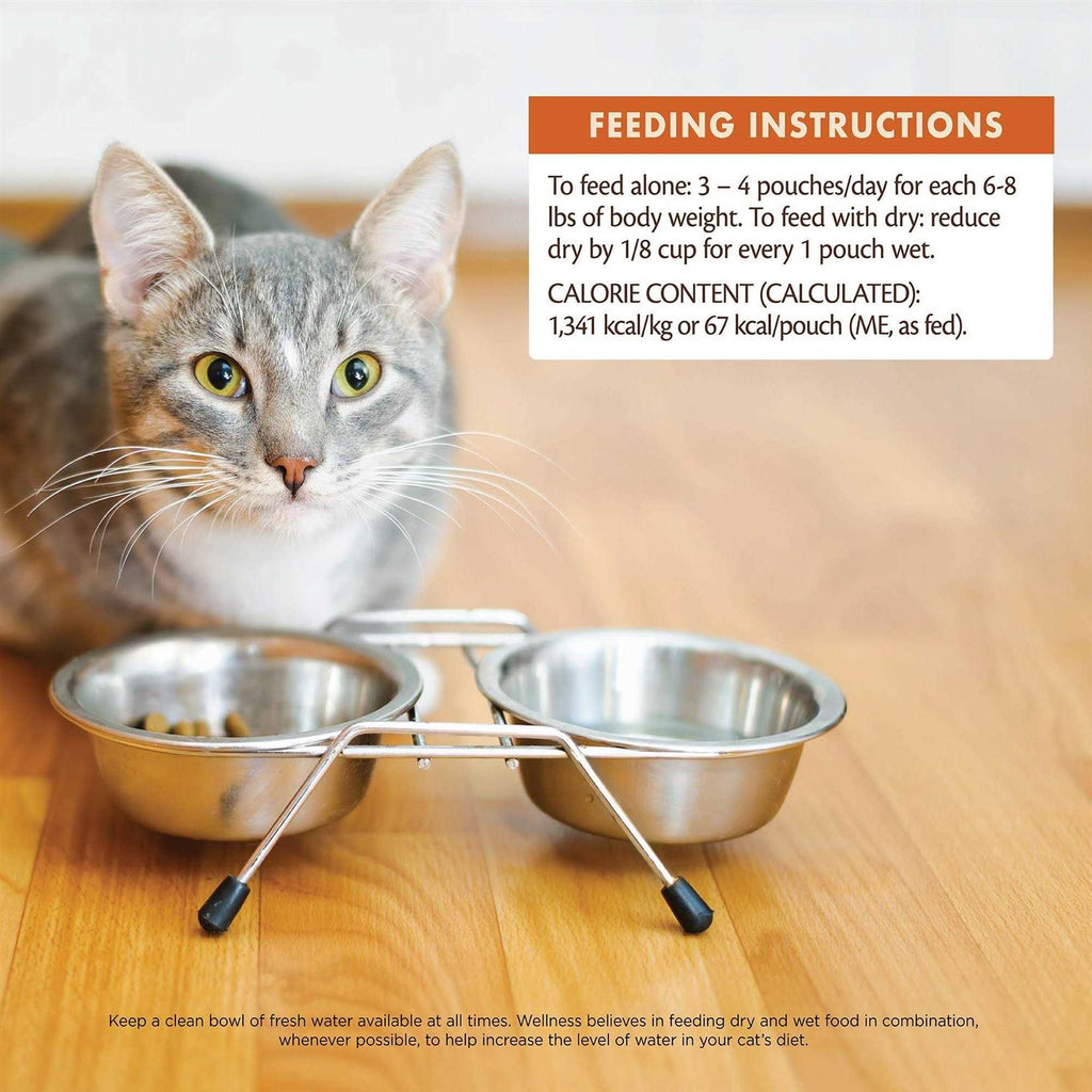 Wet Cat Food B1191