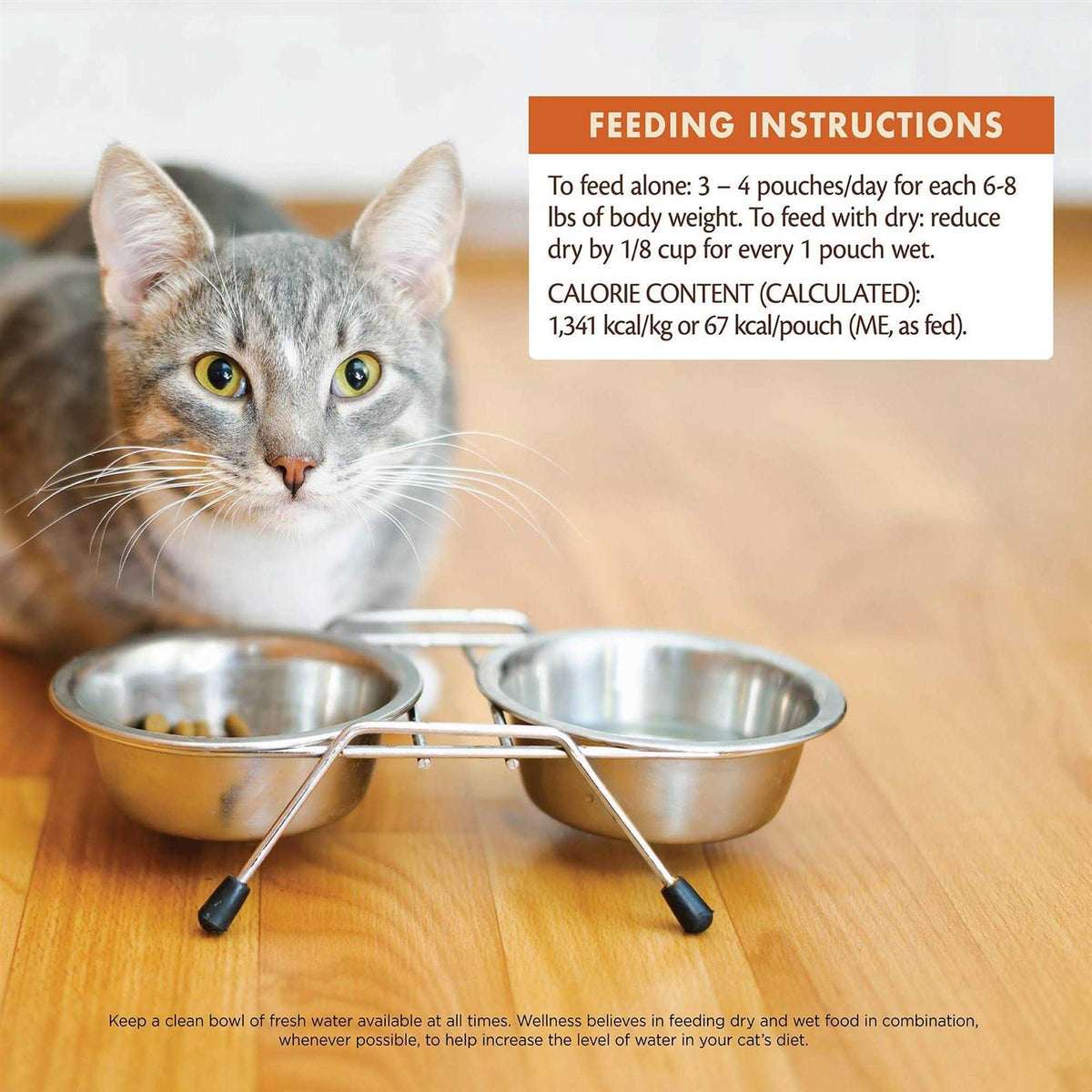 Wet Cat Food B1191