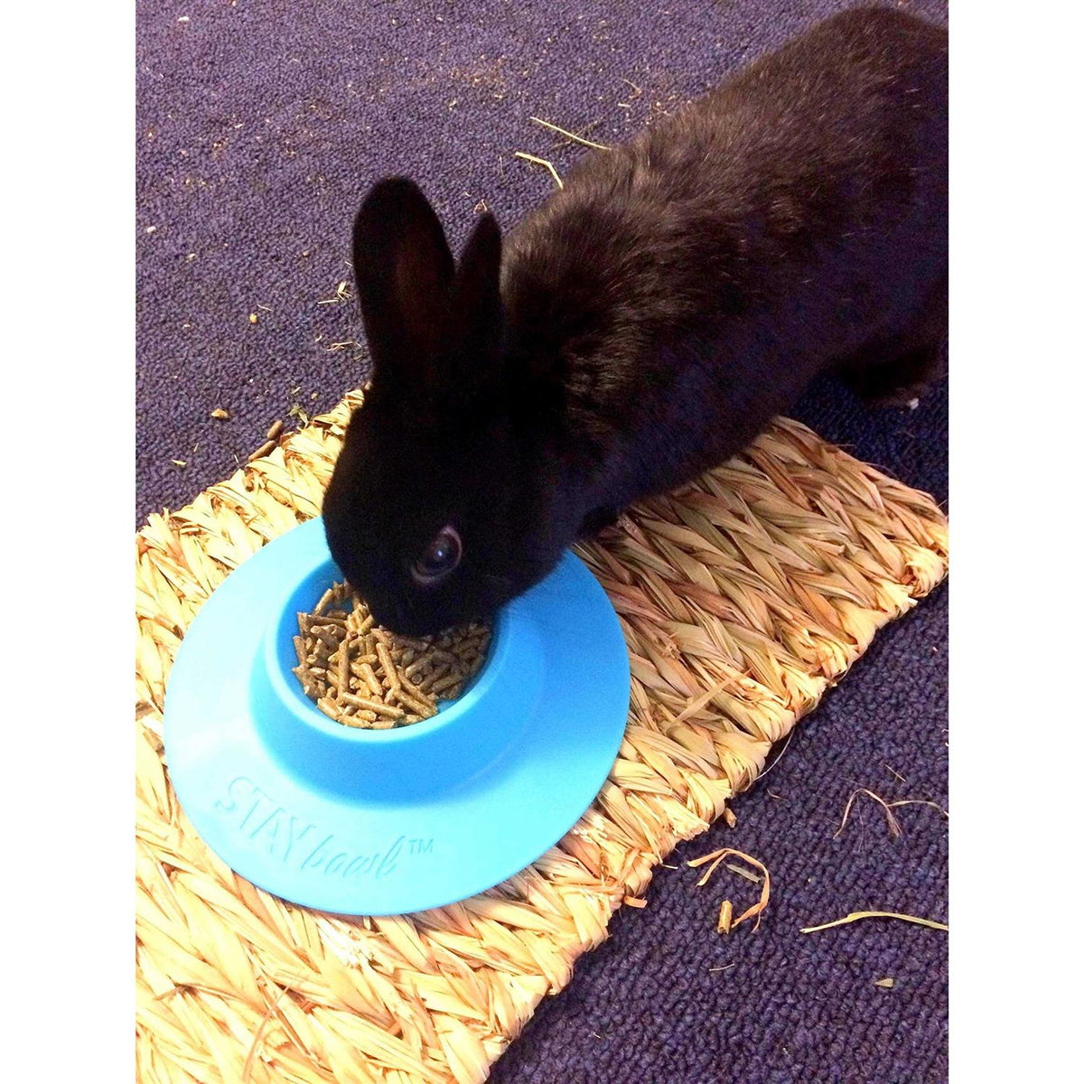 Tip-Proof Bowl for Guinea Pigs and Small Pets L533