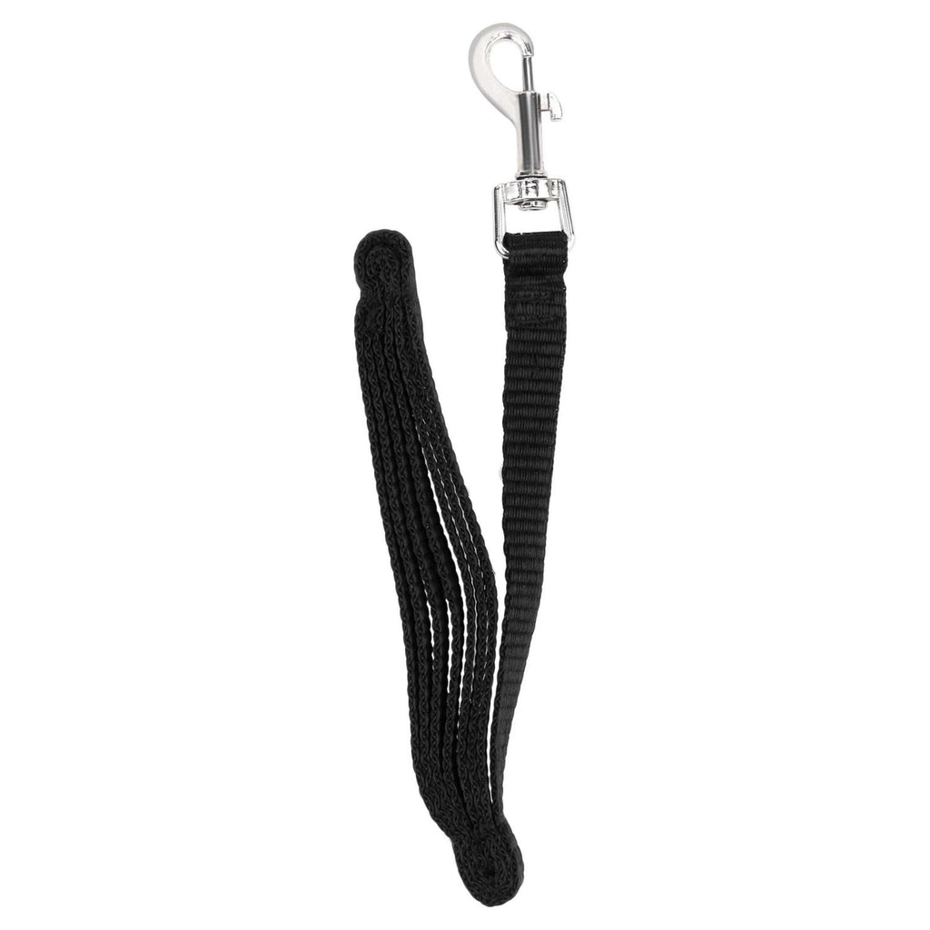 4′ Metal Dog Leash R31591