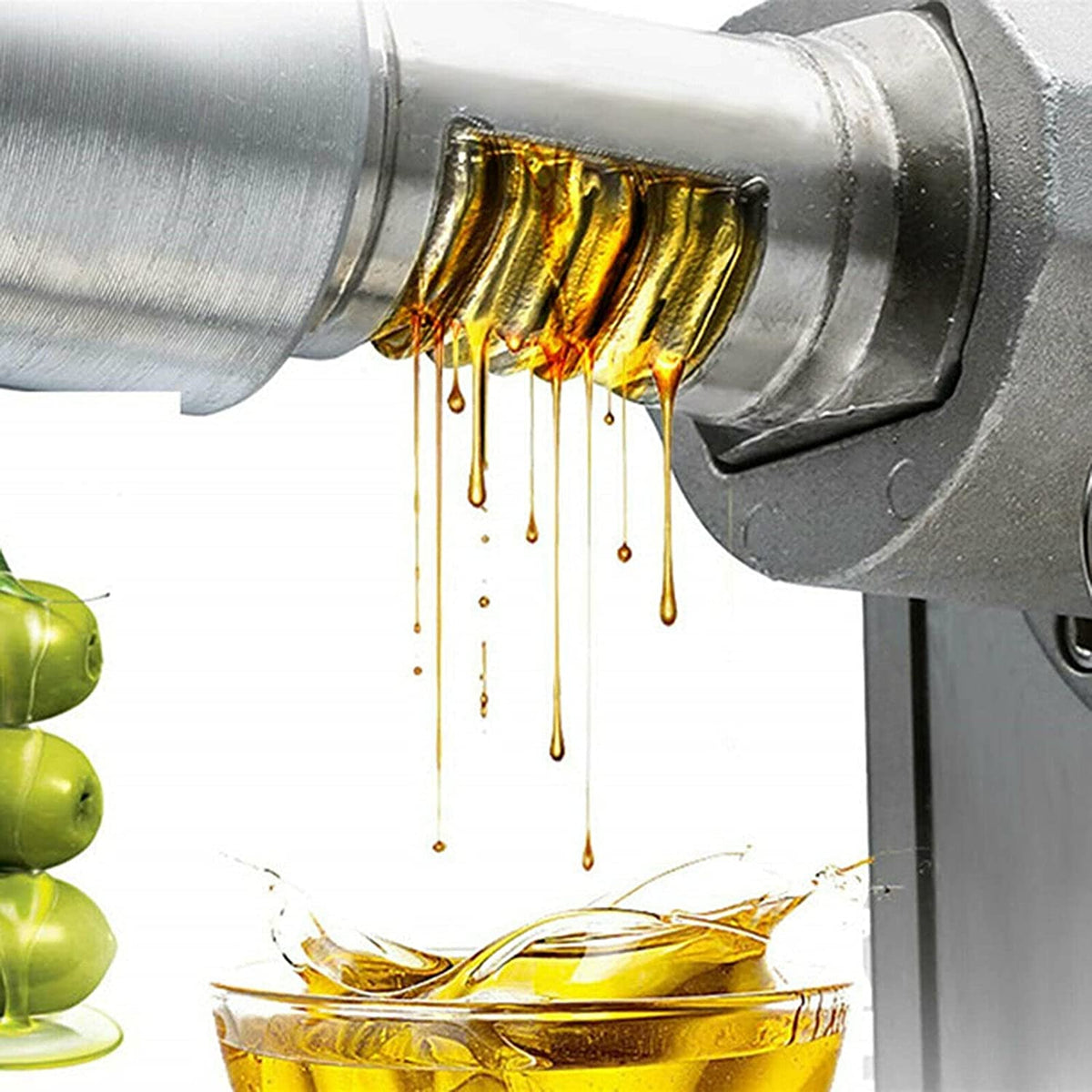 600W Electric Stainless Steel Oil Press Machine D83128